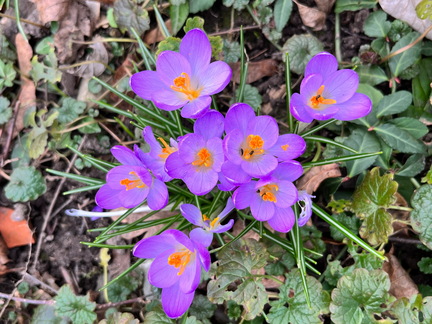 23-02-18 15-11-02 4266